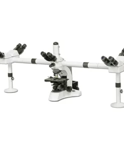 Microscope Multi-Head BS-2080MH10