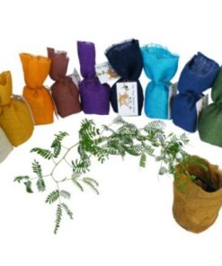 My Tree Starter Packs (Bag) Small: 100*100*170mm – Min Order: 25