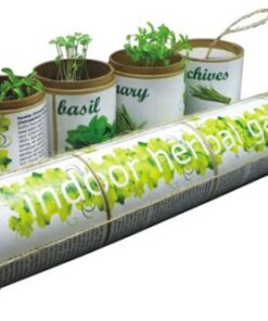 Indoor Herbal Garden – Set of 3 – Min Order: 100 units