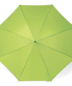 Automatic opening umbrella with eight 190t polyester fabric pane