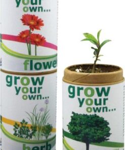 Grow your own herb – organic herb seeds in recycled container.
