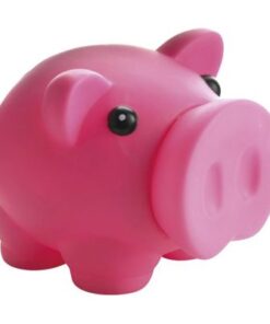Piggy Bank with Nose Stopper