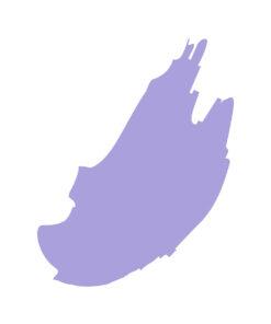 Alternative view of CALIFORNIAN STUDIO GEL